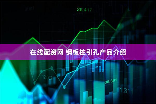 在线配资网 钢板桩引孔产品介绍