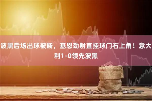波黑后场出球被断，基恩劲射直挂球门右上角！意大利1-0领先波黑