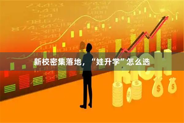 新校密集落地，“娃升学”怎么选